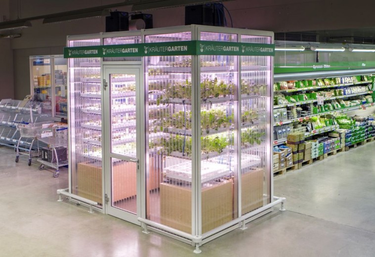 Un supermarché berlinois installe une ferme à l’intérieur du magasin