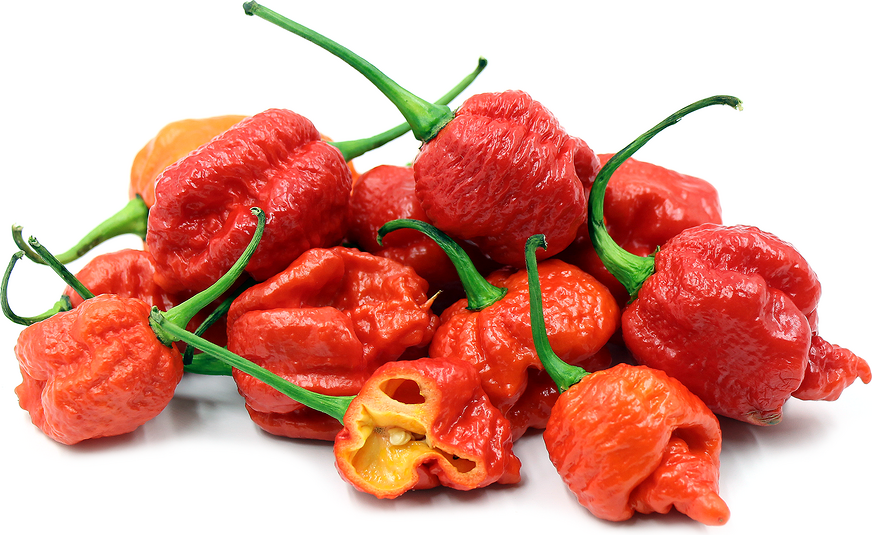Elles croquent le piment le plus HOT du monde